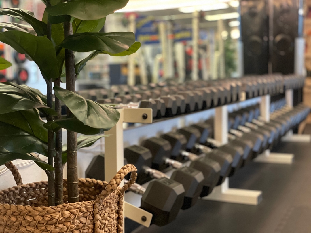 Dumbbell Equipment